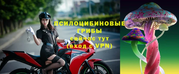 дживик Волоколамск