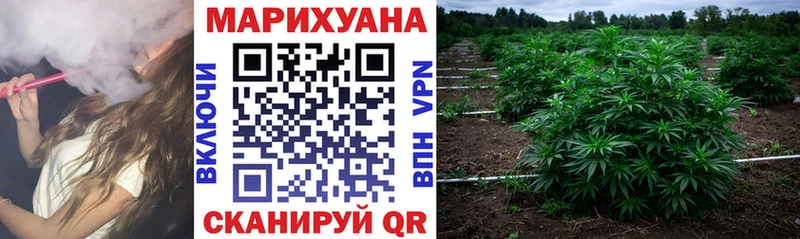 МАРИХУАНА VHQ  цены   Ворсма 